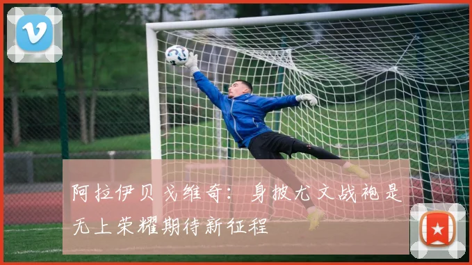 阿拉伊贝戈维奇：身披尤文战袍是无上荣耀期待新征程